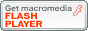 FLASH plugin